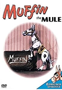 Muffin the Mule [DVD](中古品)