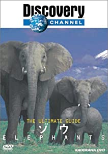 ディスカバリーチャンネル The Ultimate Guide ゾウ [DVD](中古品)