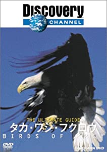 ディスカバリーチャンネル The Ultimate Guide タカ・ワシ・フクロウ [DVD](中古品)