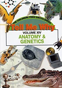 Anatomy & Genetics [DVD](中古品)