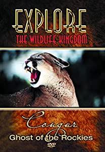 Explore the Wildlife Kingdom Series: Cougar [DVD] [Import](中古品)