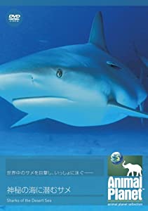 アニマル・プラネット 神秘の海に潜むサメ [DVD](中古品)