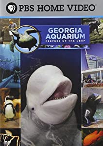 Georgia Aquarium [DVD](中古品)