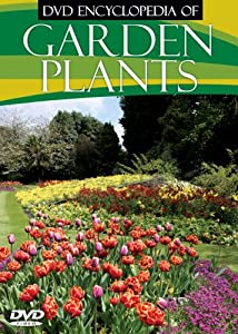 Dvd Encyclopedia Of: Garden Plants(中古品)
