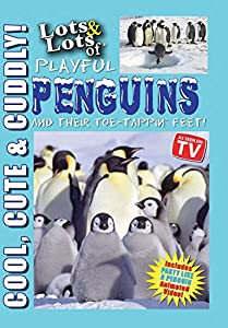 Lots & Lots of Playful Penguins [DVD](中古品)