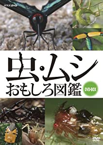 虫・ムシ おもしろ図鑑 セット [DVD](中古品)