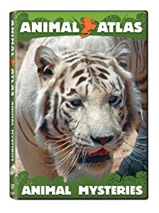 Animal Atlas: Animal Mysteries [DVD](中古品)