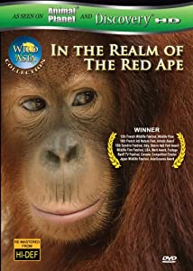 Wild Asia: In the Realm of the Red Ape [DVD](中古品)