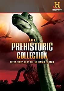 Prehistoric Collection: From Dinosaurs to Dawn [DVD](中古品)