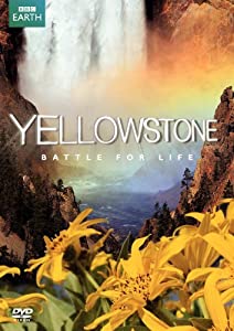 Yellowstone: Battle for Life [DVD](中古品)