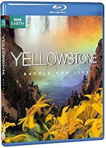 Yellowstone: Battle for Life [Blu-ray](中古品)