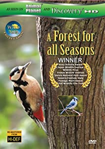 Wild Asia: A Forrest for All Seasons [DVD](中古品)