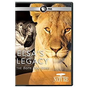 Nature: Elsa's Legacy: The Born Free Story [DVD] [Import](中古品)