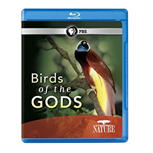 Nature: Birds of the Gods [Blu-ray] [Import](中古品)