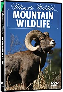 Ultimate Wildlife: Mountain Wildlife [DVD](中古品)