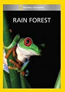 Rain Forest [DVD] [Import](中古品)