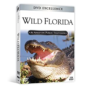 Wild Florida [DVD](中古品)