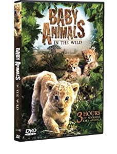Baby Animals in the Wild [DVD] [Import](中古品)