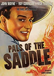 Pals of the Saddle [DVD] [Import](中古品)
