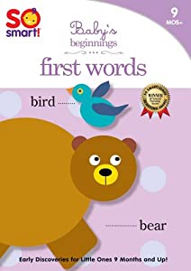So Smart Baby's Beginnings: First Words [DVD](中古品)