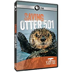 Nature: Saving Otter 501 [DVD] [Import](中古品)