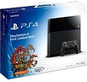 Playstation 4 First Limited Pack (プレイステーション4専用ソフト KNACK ダウンロード用 プロダクトコード 同梱)(中古品)