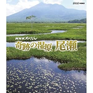 NHKスペシャル 奇跡の湿原 尾瀬(中古品)