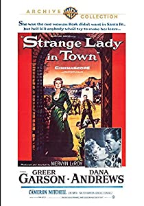 Strange Lady in Town [DVD](中古品)