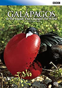 BBC ガラパゴス2 進化論が生まれた島 [DVD](中古品)