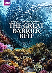 Great Barrier Reef [Blu-ray] [Import anglais](中古品)