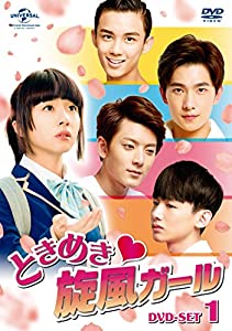 ときめき旋風ガール DVD-SET1(中古品)