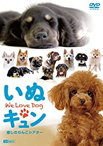 シンフォレストDVD いぬキュン 癒しのわんこシアター We Love Dog(中古品)
