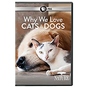 Nature: Why We Love Cats & Dogs [DVD] [Import](中古品)