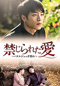 禁じられた愛~ハヌルジェの夕暮れ~ [DVD](中古品)