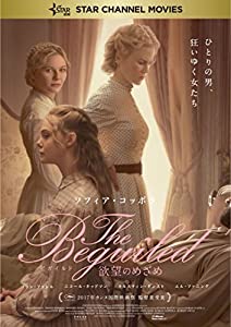 The Beguiled ビガイルド 欲望のめざめ [Blu-ray](中古品)