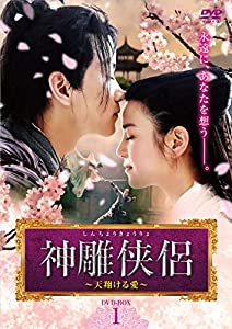 神雕侠侶~天翔ける愛~ DVD-BOX1(中古品)