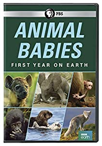 Animal Babies: First Year On Earth [DVD](中古品)