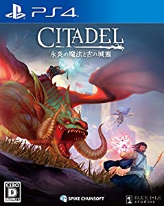 (中古品)【PS4】シタデル:永炎の魔法と古の城塞【購入特典】「サバイバルガイドブック」(封入)/スパイク・チュンソフト//
