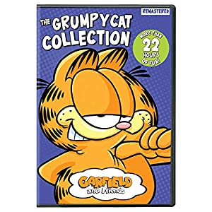 Garfield And Friends: The Grumpy Cat Collection [DVD](中古品)