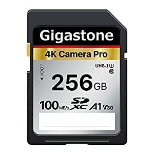 Gigastone SDカード 256GB メモリーカード? A1 V30 U3 Class 10 SDXC 高速 4K UHD & Full HD ビデオ Canon Nikon など デジタル