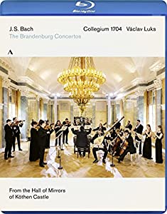 J.S.バッハ: ブランデンブルク協奏曲 / ヴァーツラフ・ルクス、コレギウム1704 (J.S.Bach: Brandenburg Concertos 1-6 / Colle